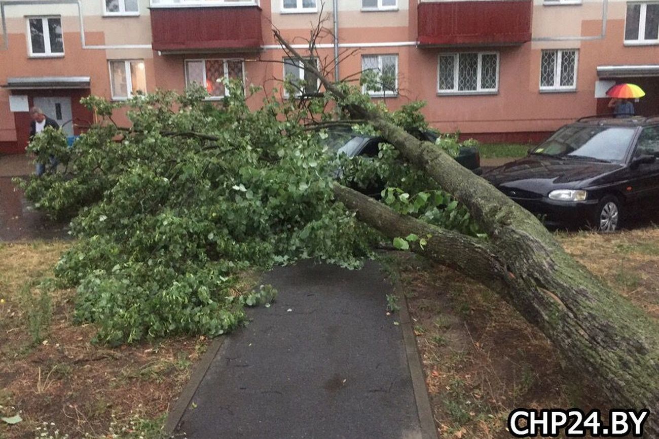Ураган в Беларуси