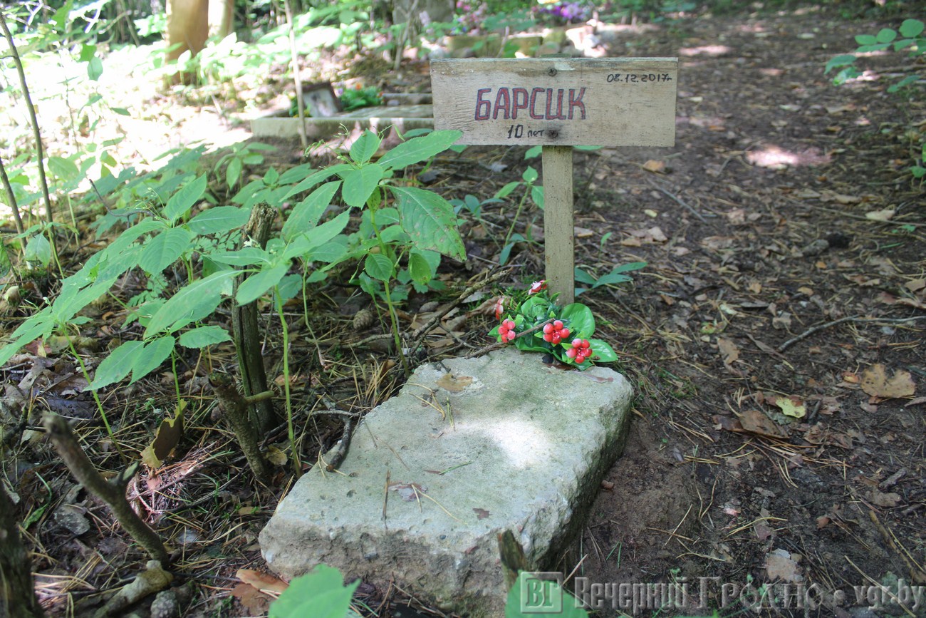 Места захоронения животных. Могилы животных. Места захоронения животных. Места захоронения животных. Места захоронения животных.