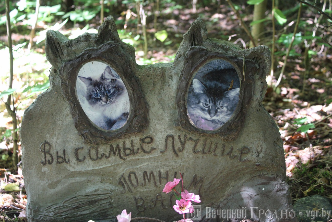 Кладбище домашних питомцев в Белоруссии