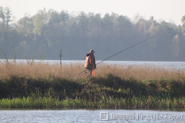 more15 гродно налоговая ленинского района телефоны