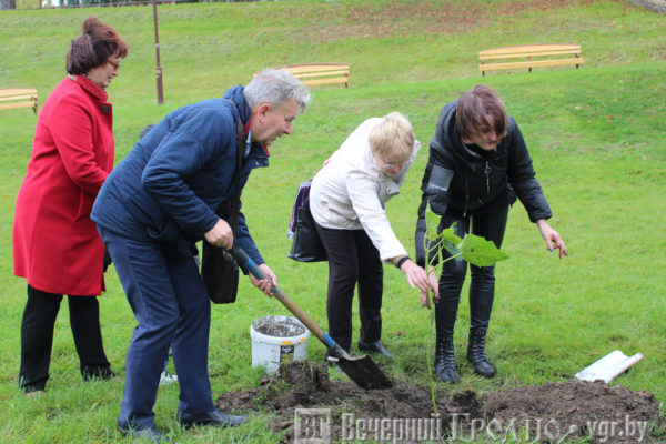 sad8 гродно налоговая ленинского района телефоны