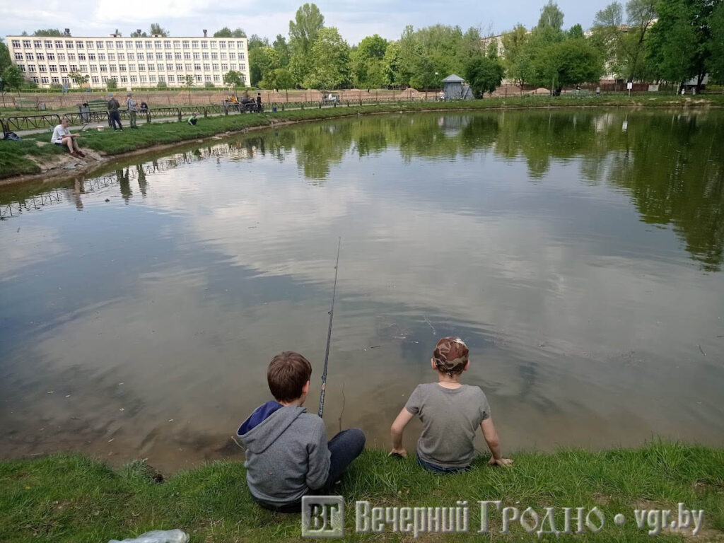 Вода у дома — что происходит в парках Гродно — Вечерний Гродно