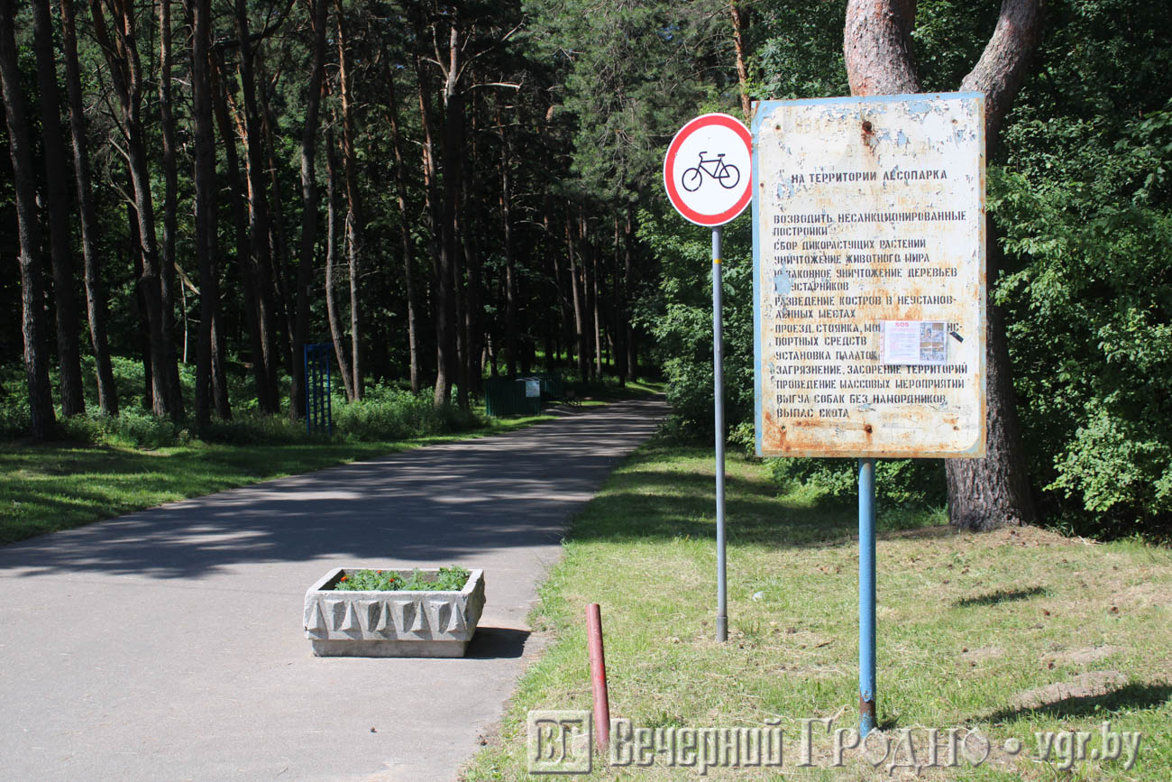 Спорт на свежем воздухе, прокат и пляж — чем заняться в Пышках в Гродно —  Вечерний Гродно