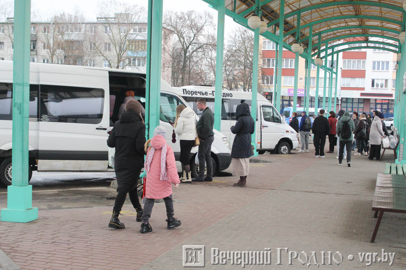 Видеорегистраторы, ремни и запрет «черных» списков — в Минтрансе рассказали, как изменятся требования к перевозчикам в Беларуси